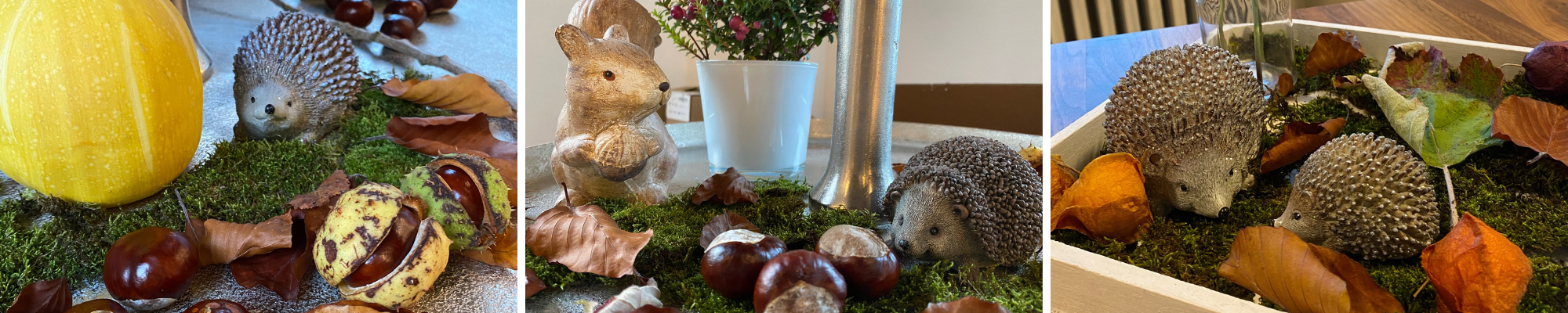  Herbst-Header.png
