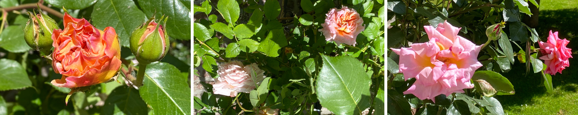 Frau Dr. Med. Birgit Weber-fehr Und Dr. Med. Annette Mayer-wegelin Dr. med. Julia Schlattmann | Dr. B. Weber-Fehr, Dr. A. Mayer-Wegelin